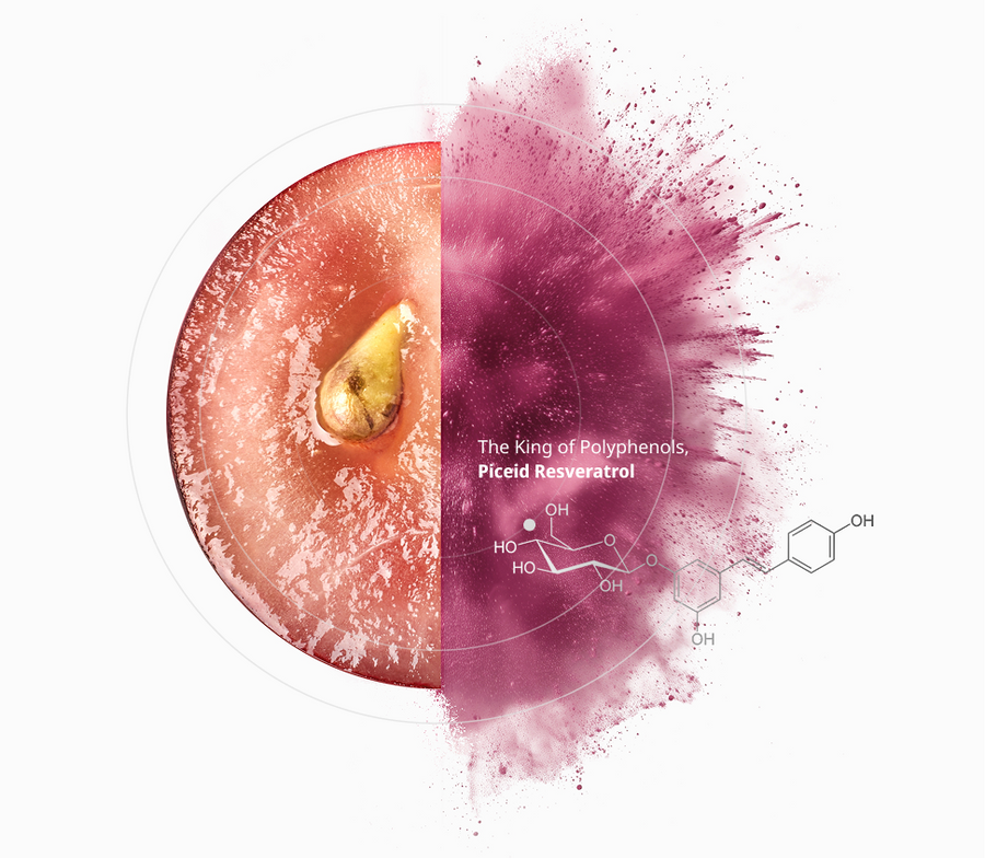 Meet VINIA : the Breakthrough Solution to Better Blood Flow*